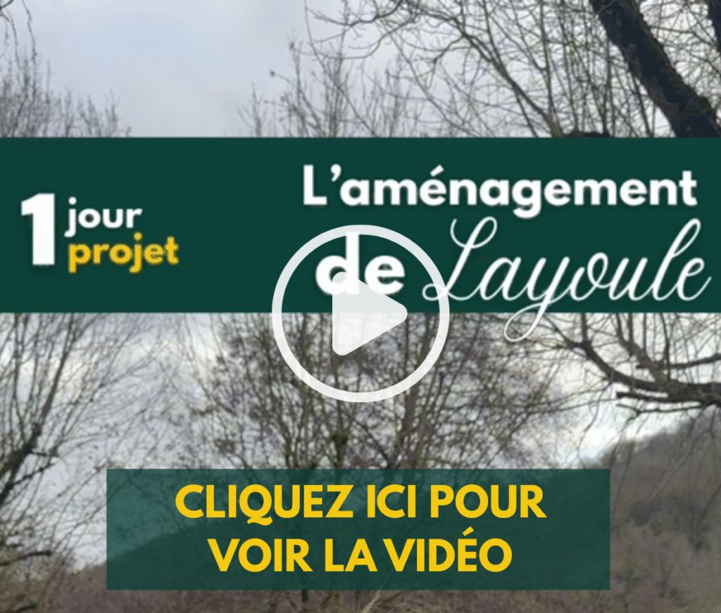 Layoule Video Vignette